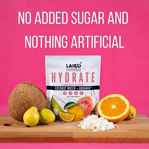 SL Travel Supplements - Laird Superfood HYDRATE Coconut Water Powder Drink Supplement with Coconut Water and Auqamin, All Natural, No Added Sugars, Gluten-Free, Non-GMO, Vegan, 8 oz. Bag, Pack of 1