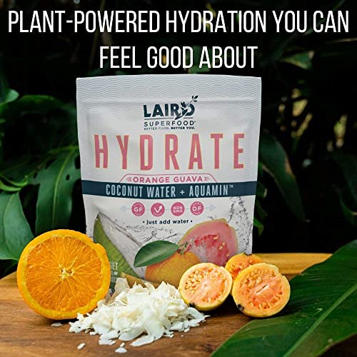 SL Travel Supplements - Laird Superfood HYDRATE Coconut Water Powder Drink Supplement with Coconut Water and Auqamin, All Natural, No Added Sugars, Gluten-Free, Non-GMO, Vegan, 8 oz. Bag, Pack of 1