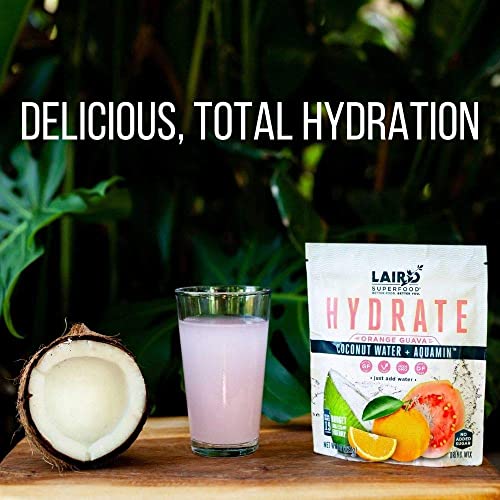 SL Travel Supplements - Laird Superfood HYDRATE Coconut Water Powder Drink Supplement with Coconut Water and Auqamin, All Natural, No Added Sugars, Gluten-Free, Non-GMO, Vegan, 8 oz. Bag, Pack of 1