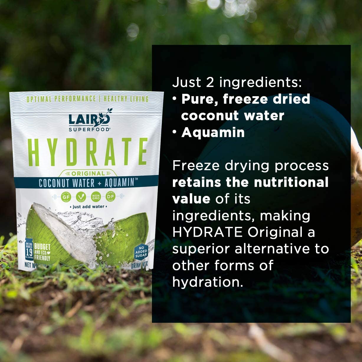 SL Travel Supplements - Laird Superfood HYDRATE Coconut Water Powder Drink Supplement with Coconut Water and Auqamin, All Natural, No Added Sugars, Gluten-Free, Non-GMO, Vegan, 8 oz. Bag, Pack of 1
